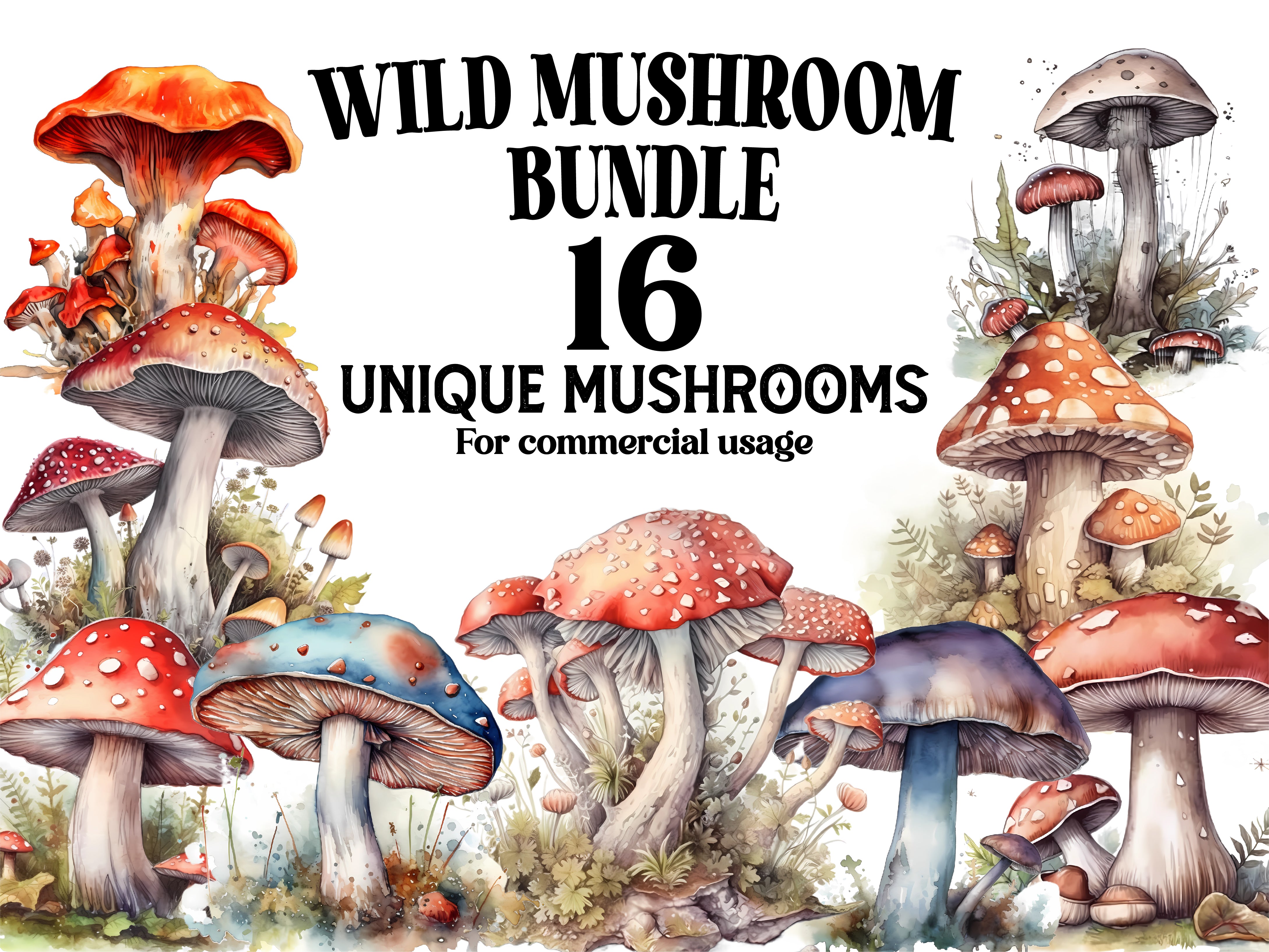 Wild Mushrooms Clipart - CraftNest