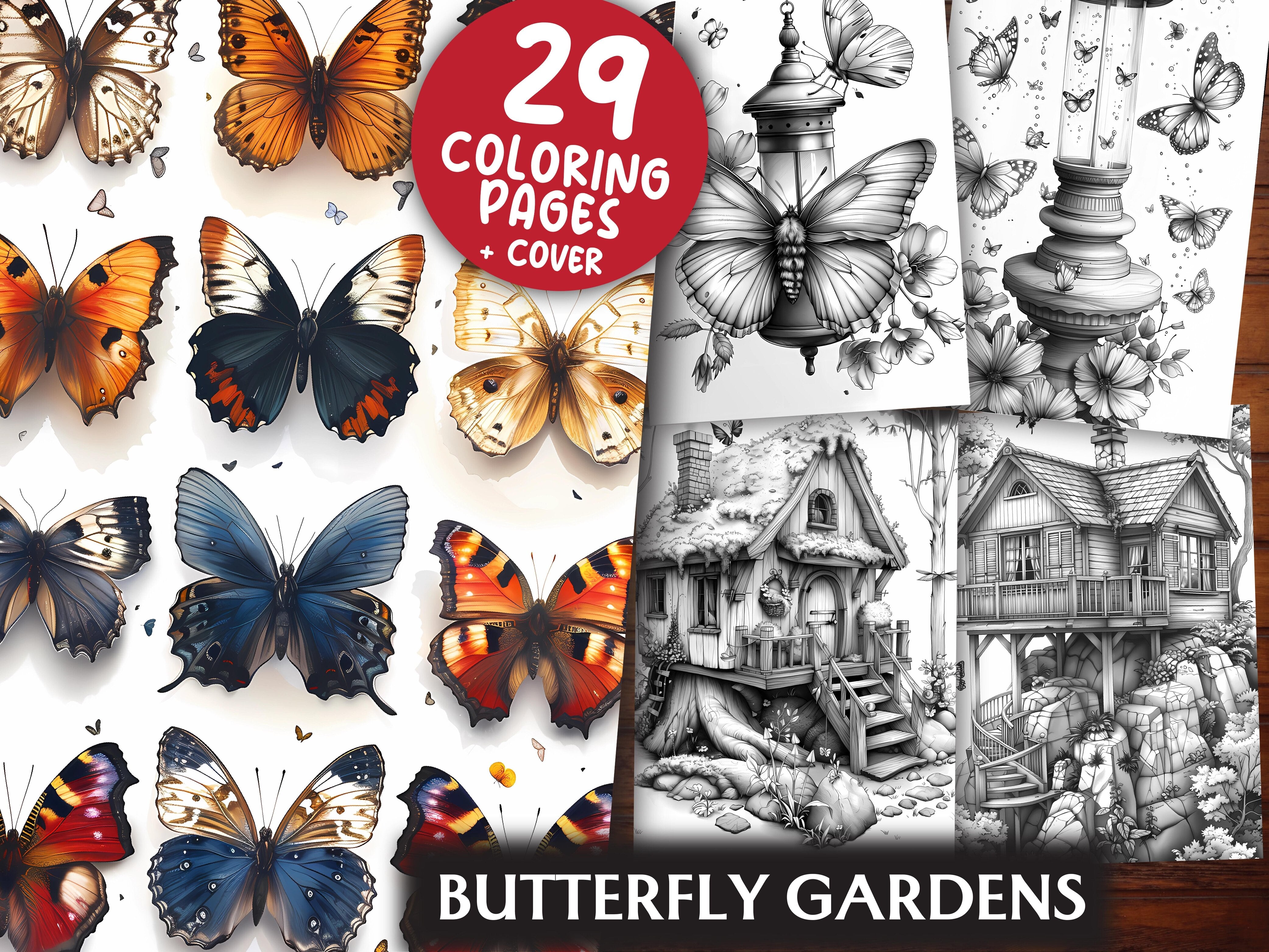 Butterfly Gardens Coloring Books