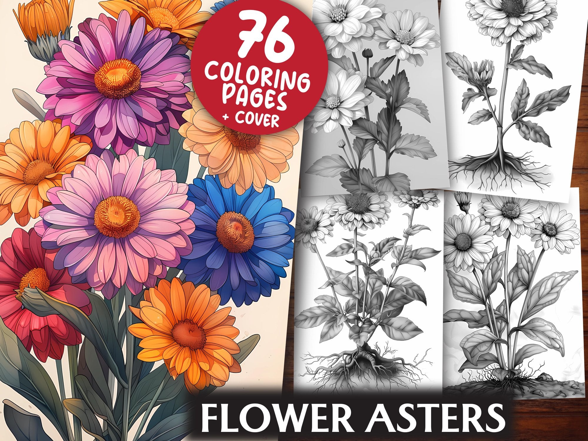 Flower Asters Coloring Books - CraftNest