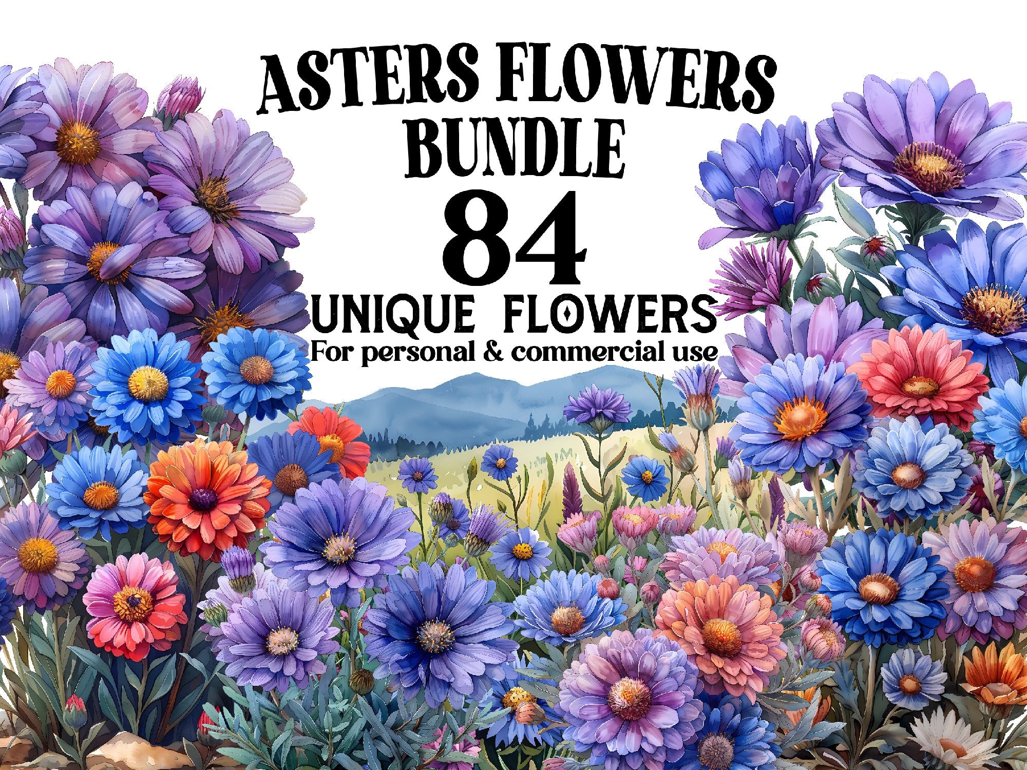 Asters Flowers Clipart