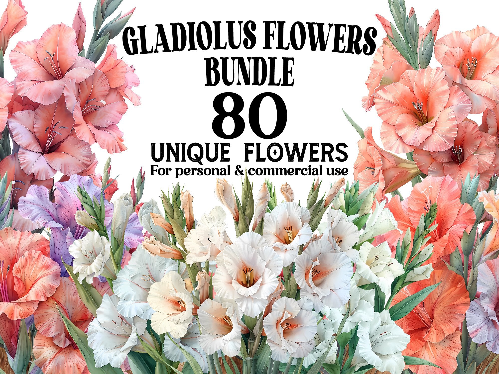 Gladiolus Flowers Clipart