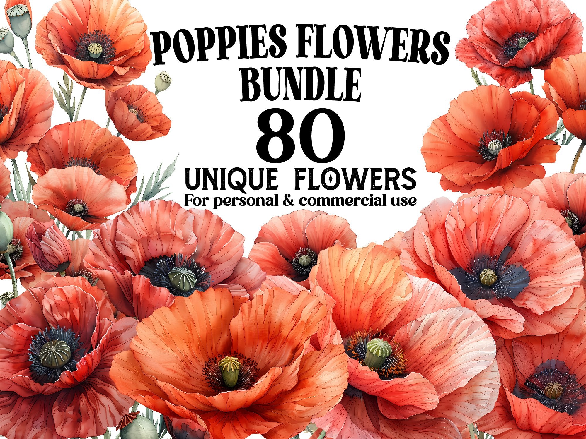 Poppies Flowers Clipart