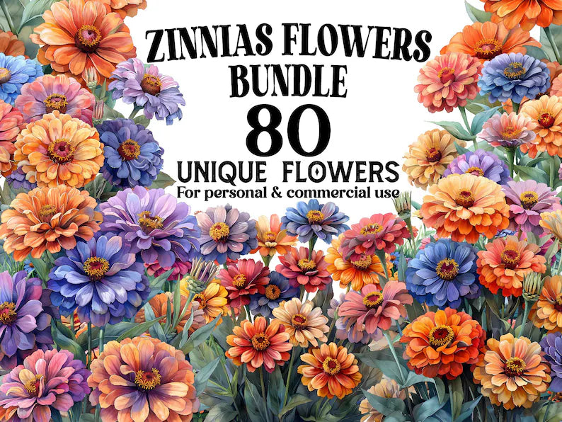 Zinnias Flowers Clipart