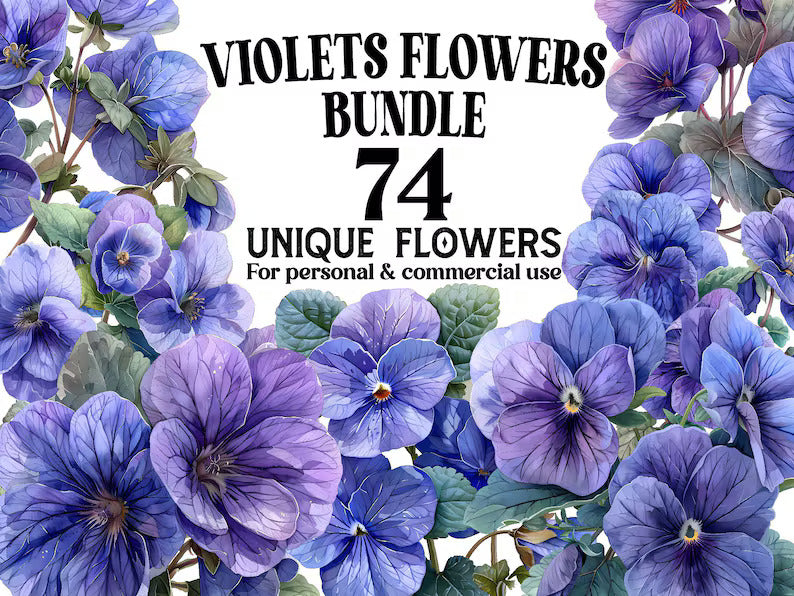 Violets Flowers Clipart