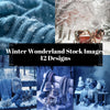 Winter Wonderland Stock Images