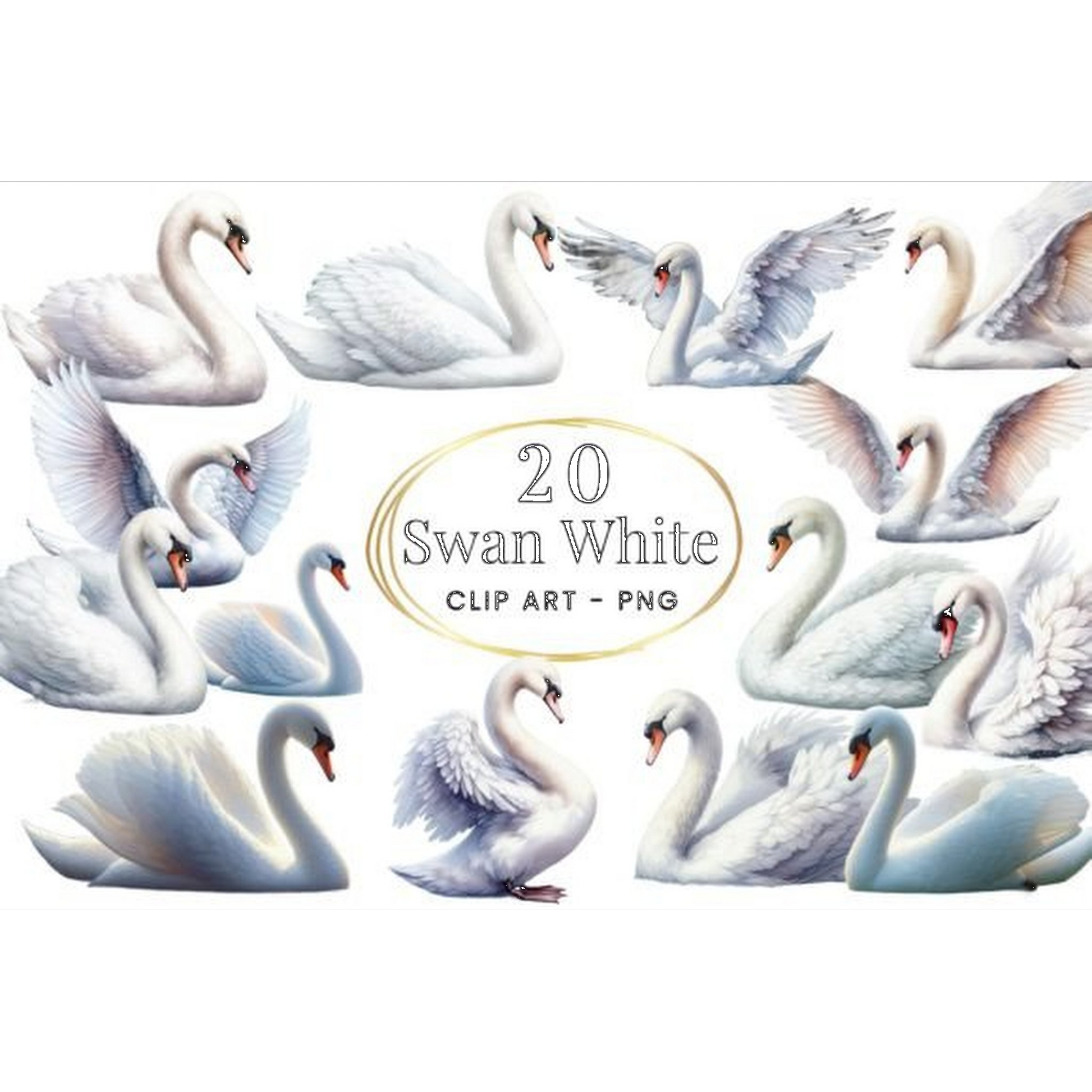 Watercolor Swan Clipart - CraftNest - Digital Crafting and Art