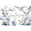 Watercolor Swan Clipart