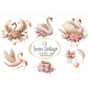 Swans Clipart