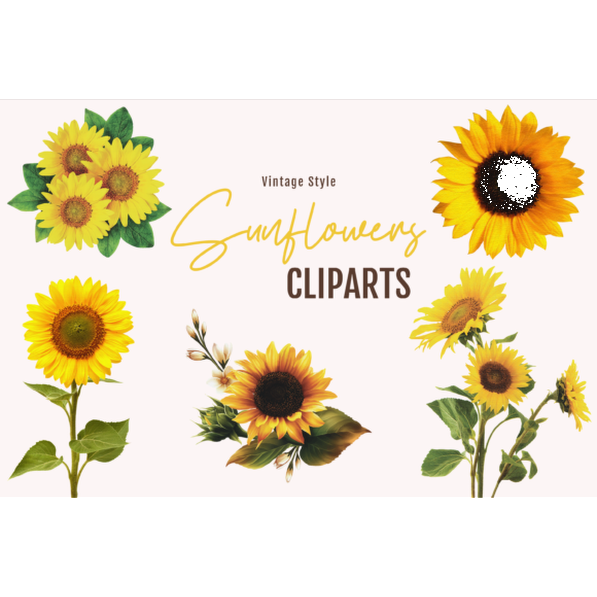 Vintage Sunflower Clipart - CraftNest - Digital Crafting and Art