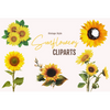 Vintage Sunflower Clipart