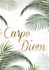 Carpe Diem Aesthetic Wall Art
