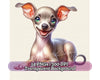 Italian Greyhound