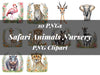 Safari Tiere Kindergarten Clipart