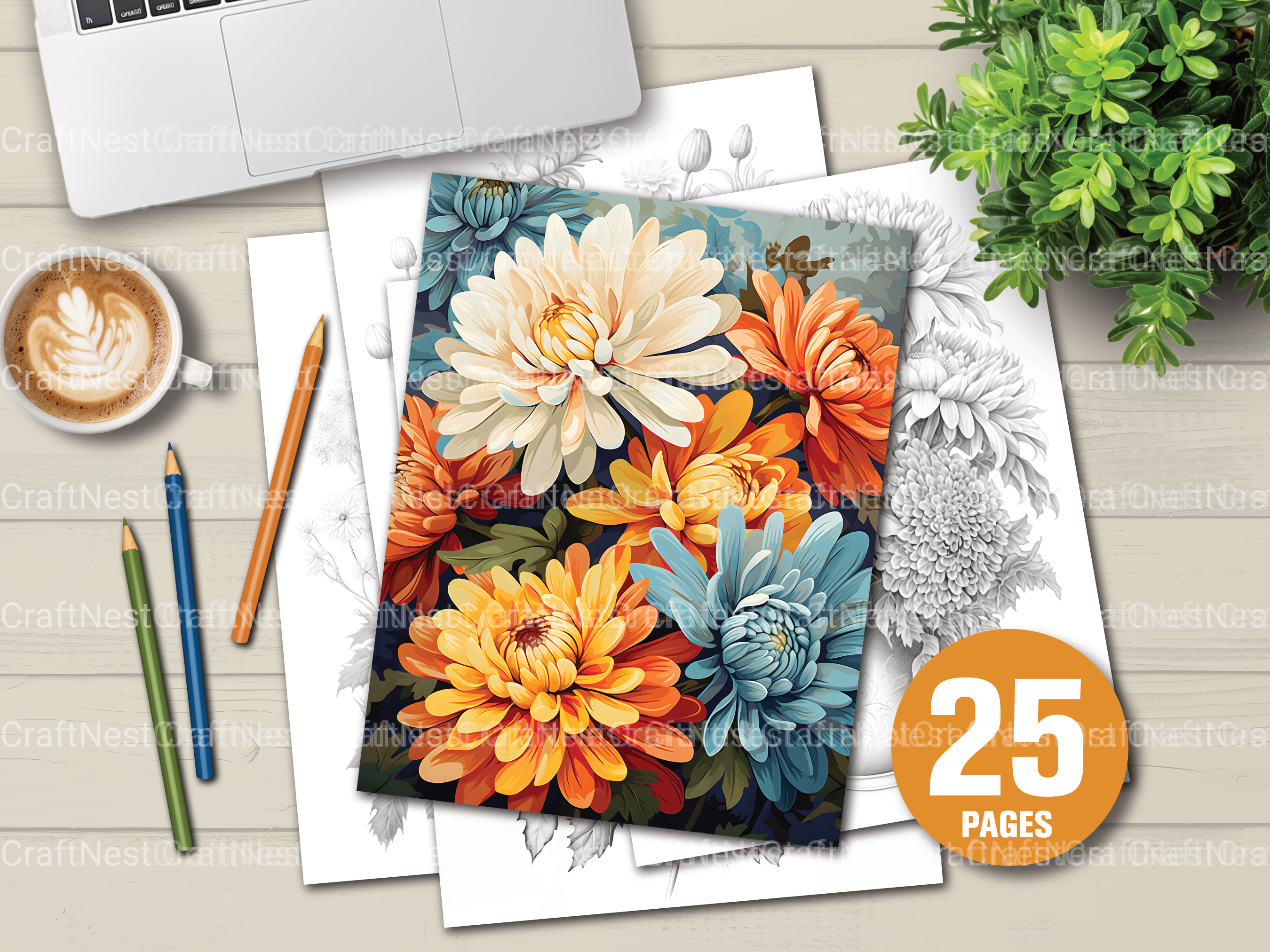 Chrysanthemum Flower Coloring Book - CraftNest - Digital Crafting and Art