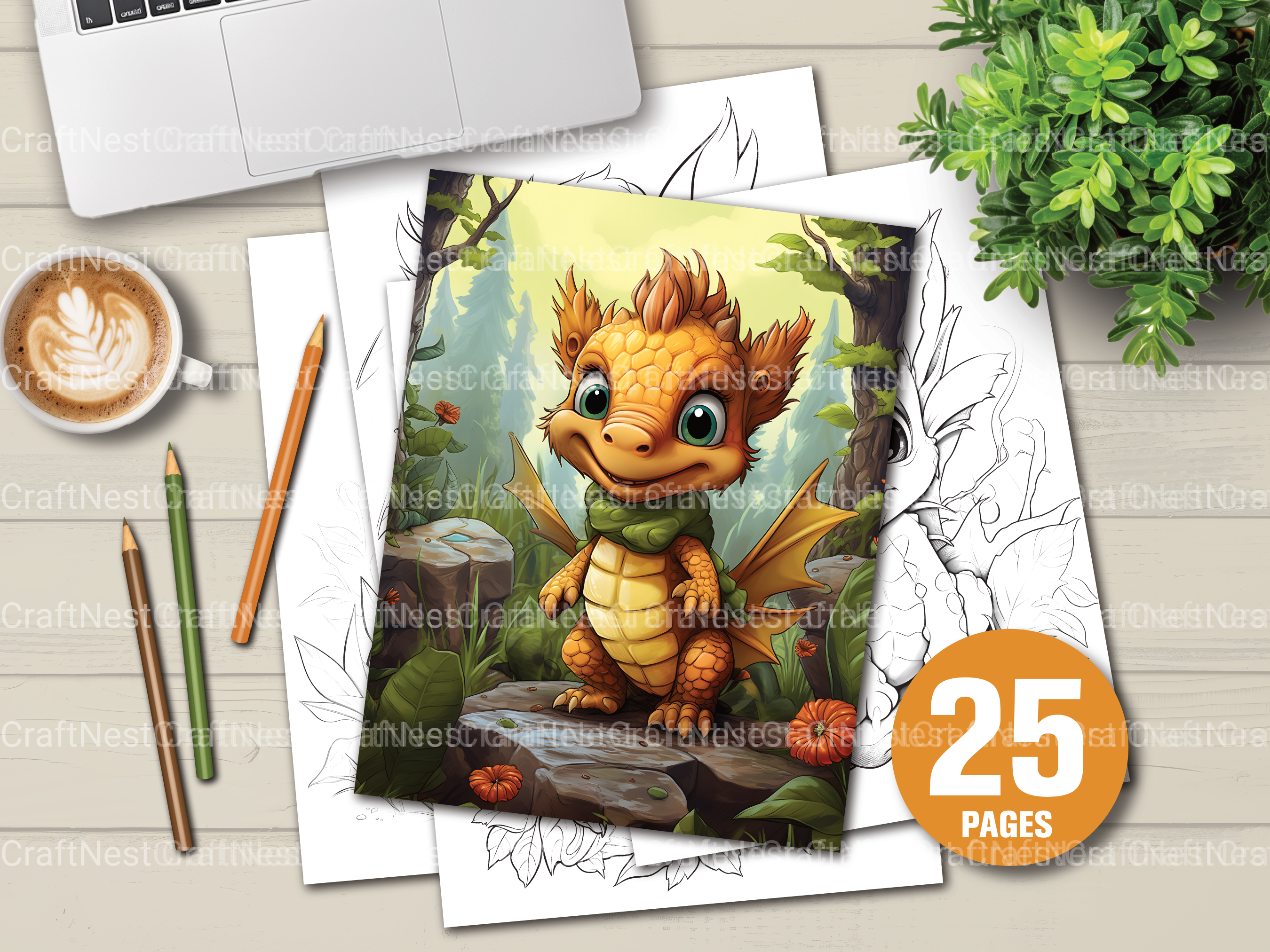 Baby Dragon Coloring Book