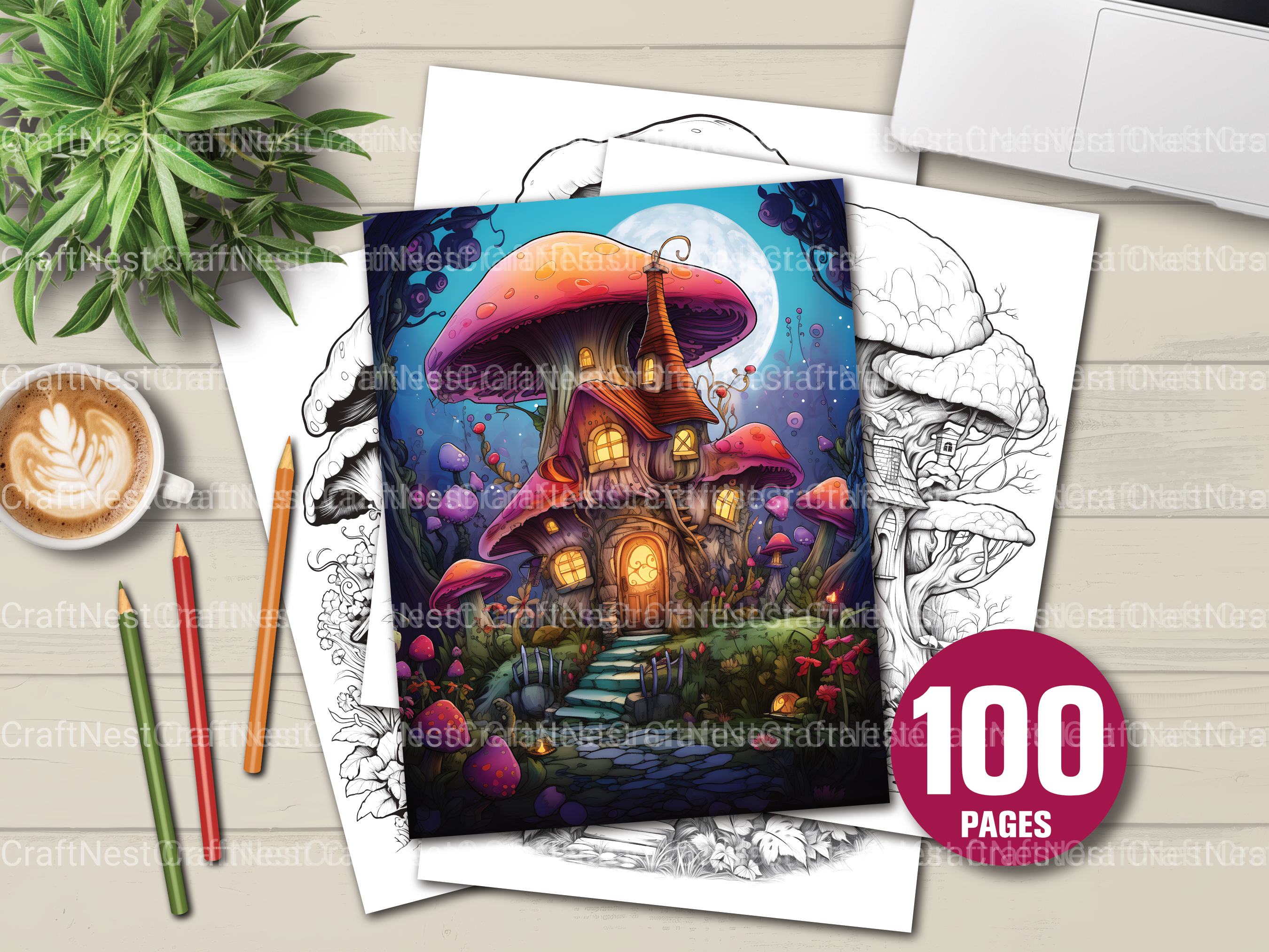 Fairy Houses Coloring Book