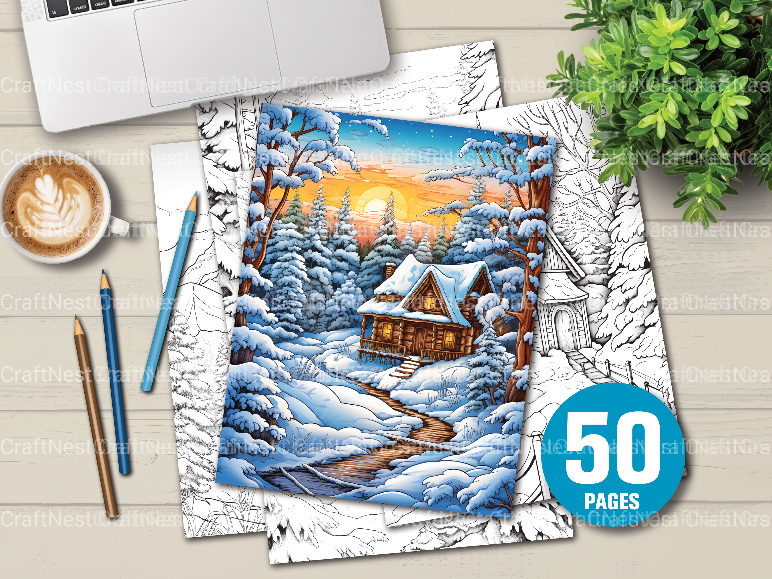 Winterland Coloring Book