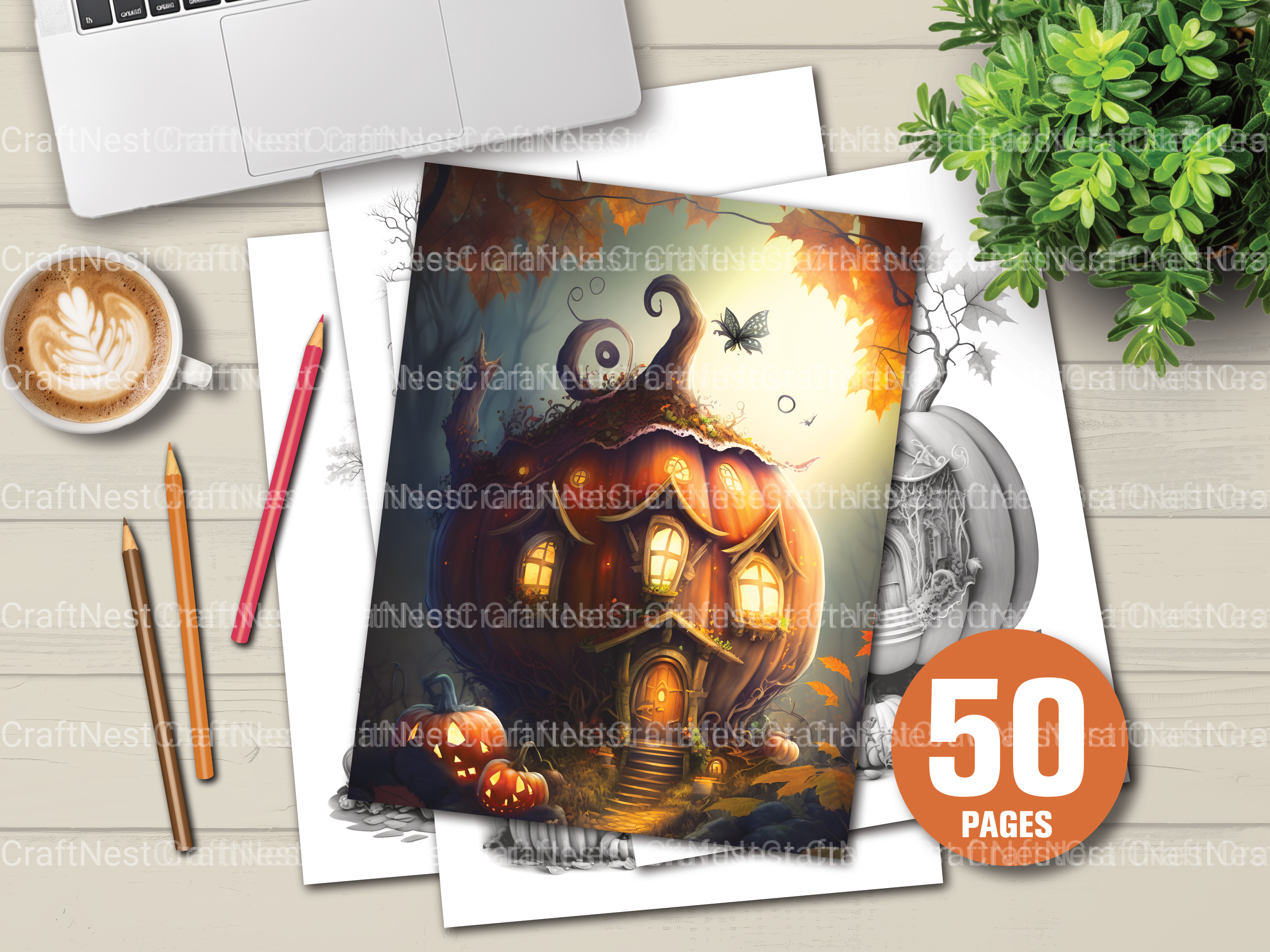 Pumpkin Fairy House Coloring Book