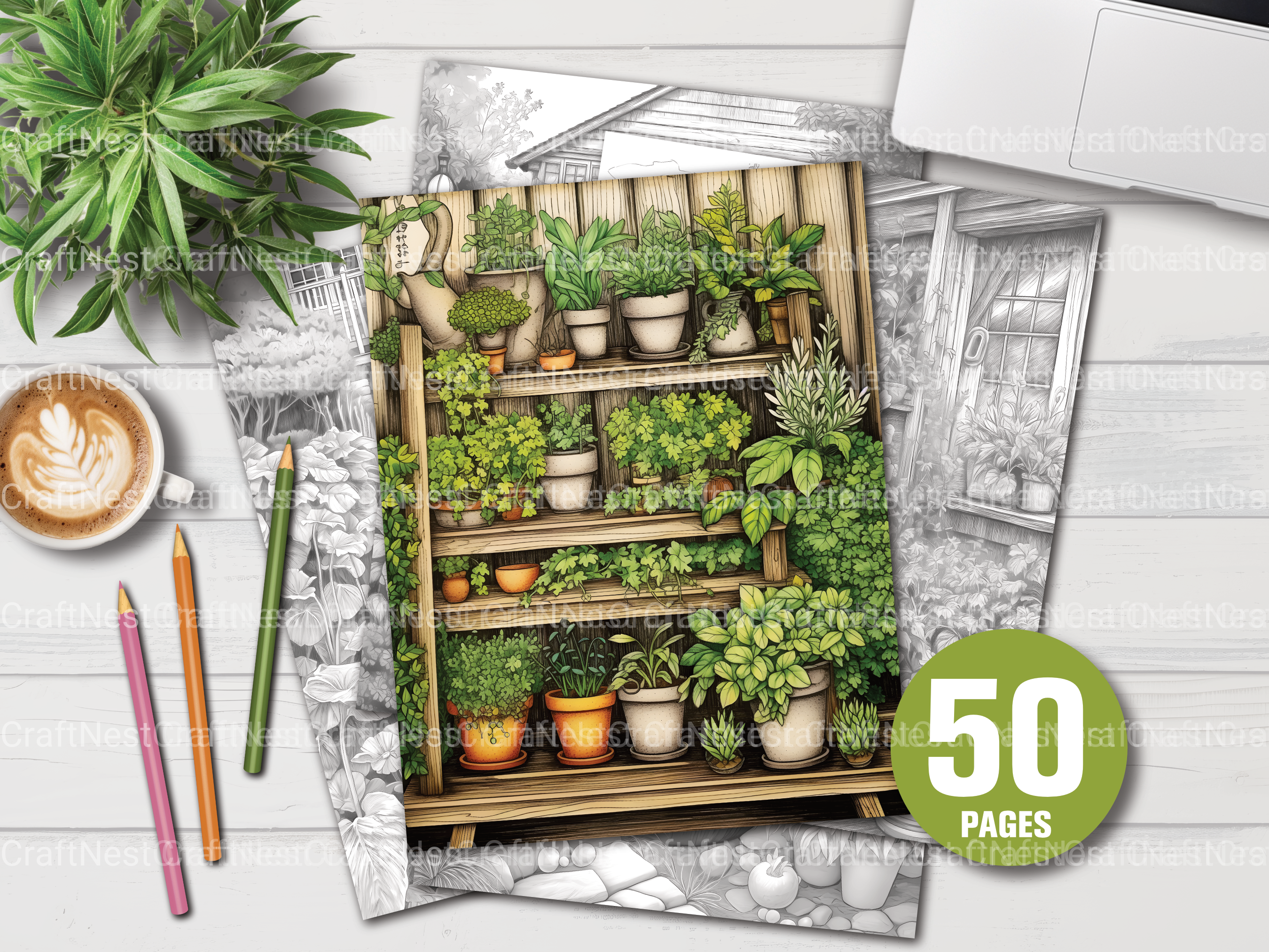 Herb Garden Coloring Book - CraftNest - Digital Crafting and Art