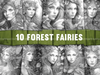 Forest Fairy Coloring Book