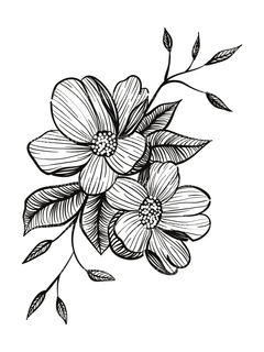 Floral Coloring Book - CraftNest - Digital Crafting and Art