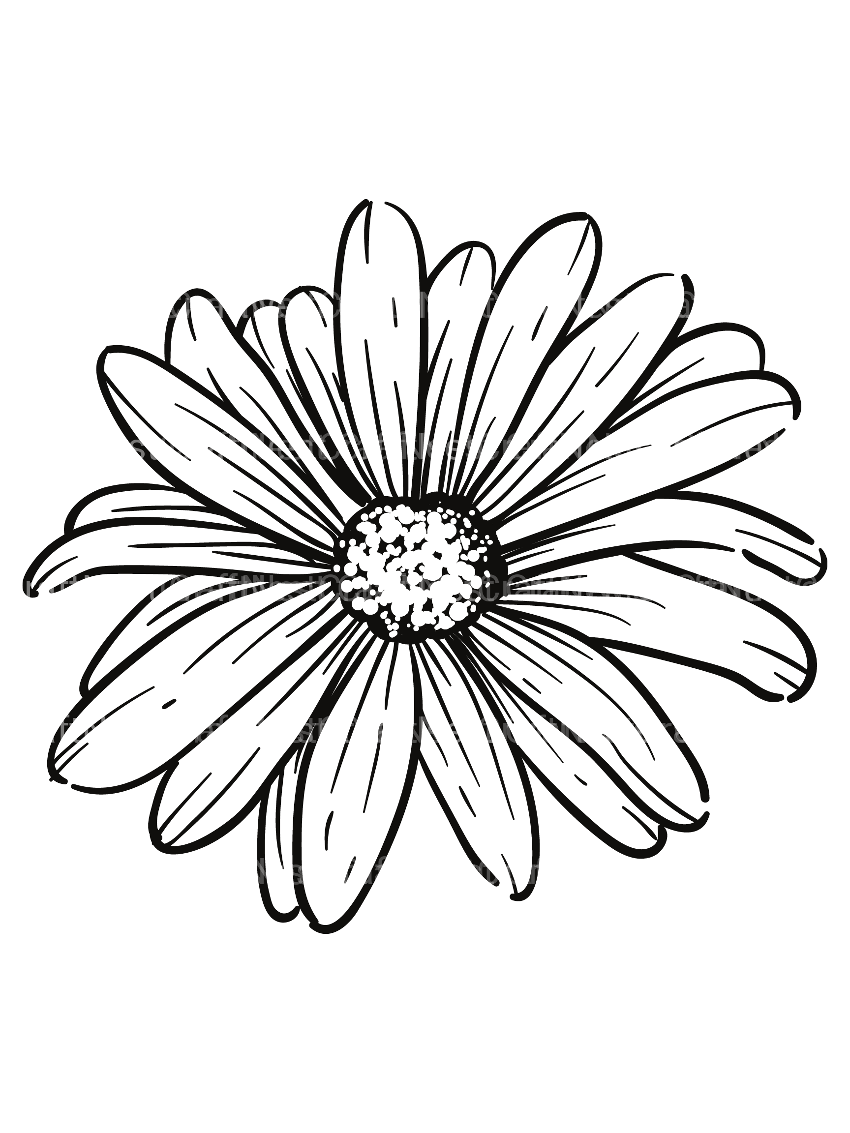 Floral Coloring Book - CraftNest - Digital Crafting and Art