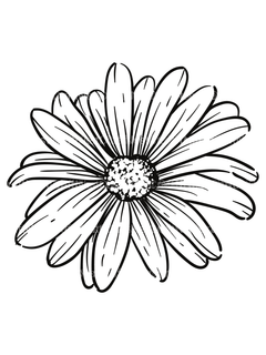 Floral Coloring Book - CraftNest - Digital Crafting and Art