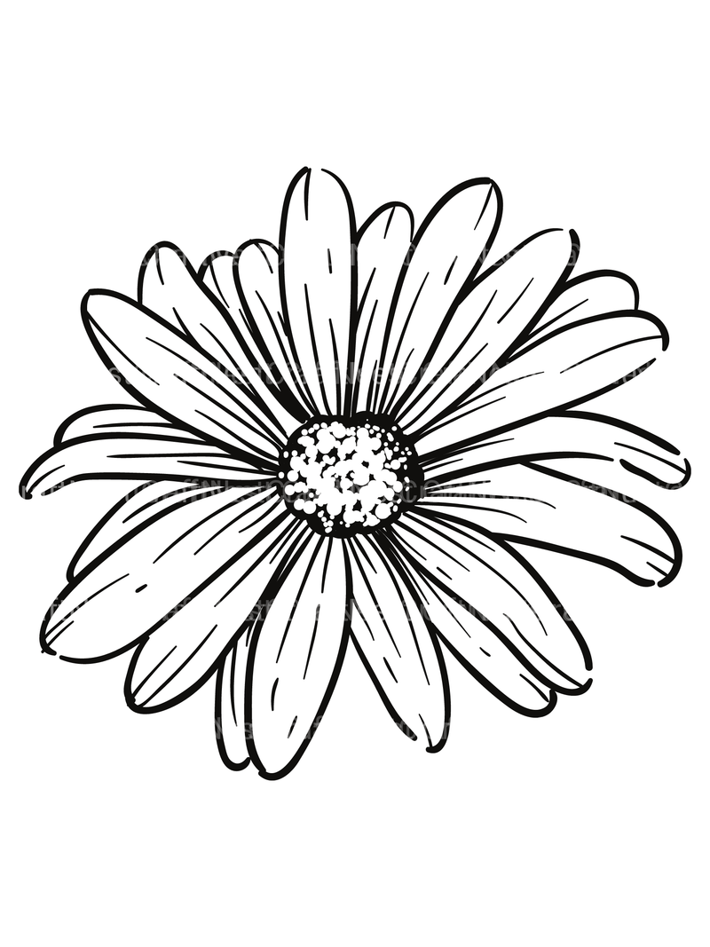 Floral Coloring Book - CraftNest - Digital Crafting and Art