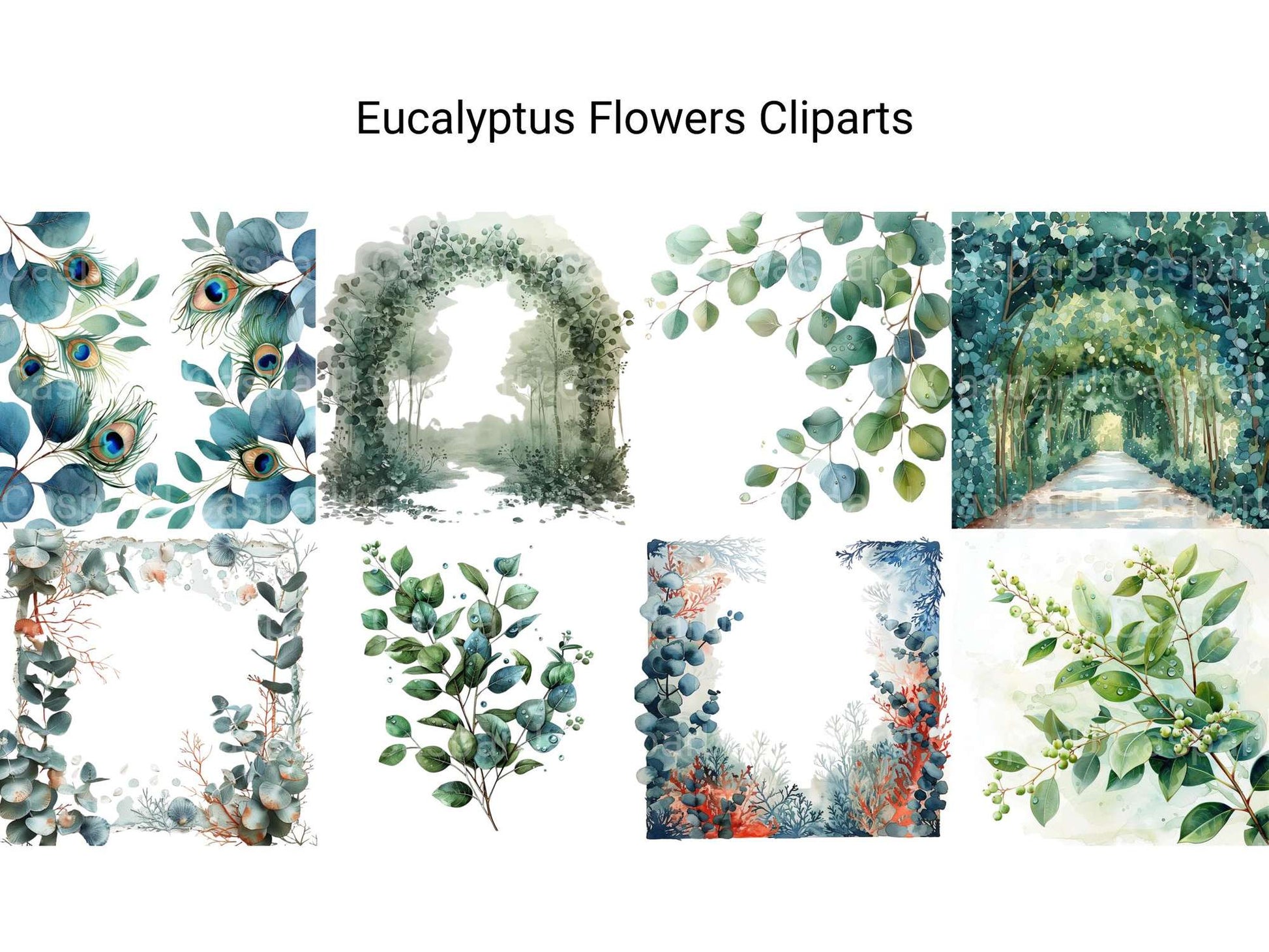 Eucalyptus Flowers Clipart - CraftNest - Digital Crafting and Art