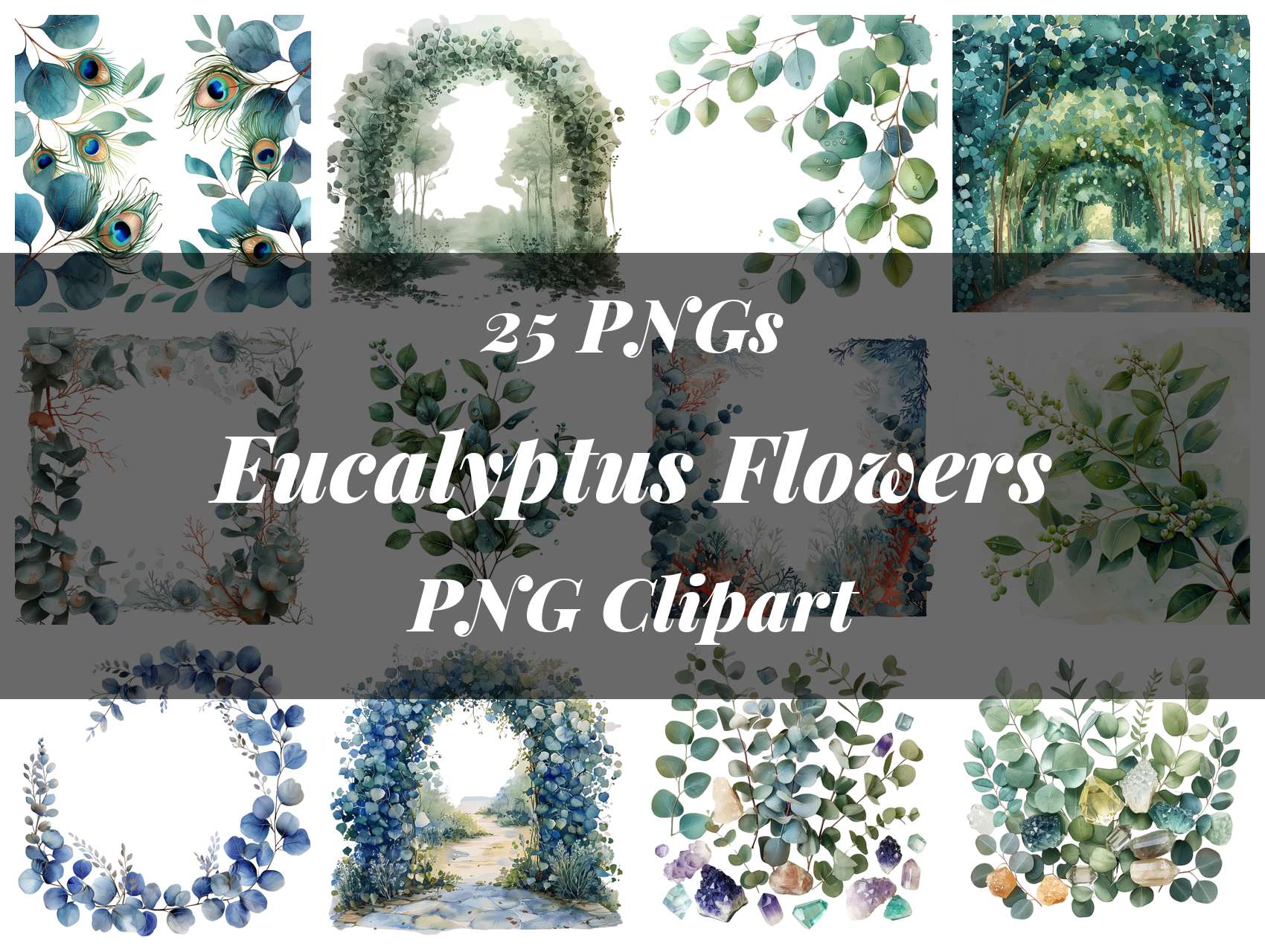 Eucalyptus Flowers Clipart - CraftNest - Digital Crafting and Art