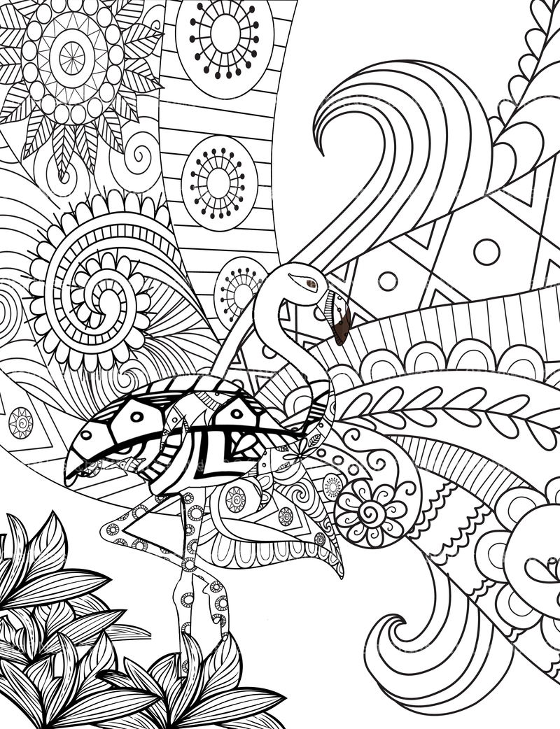 Colorist Heaven Animal Coloring Book - CraftNest - Digital Crafting and Art