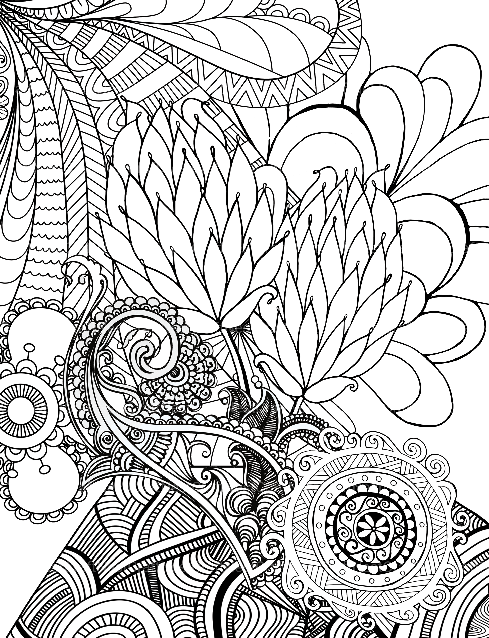Colorist Heaven Flower Coloring Book - CraftNest - Digital Crafting and Art