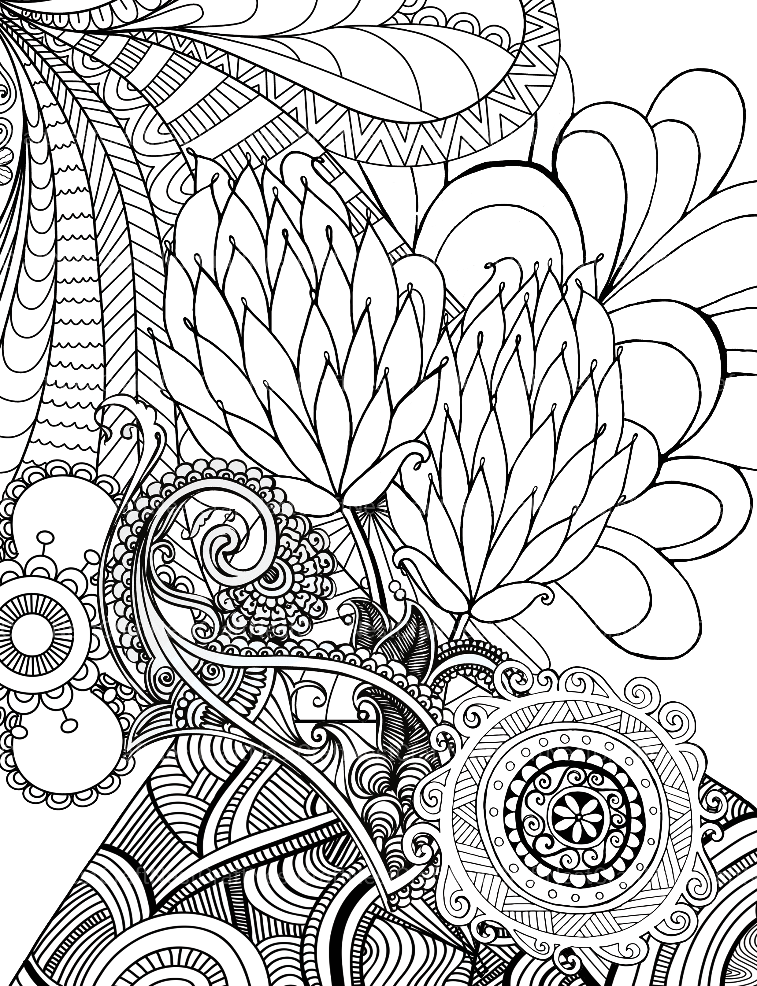 Colorist Heaven Flower Coloring Book - CraftNest - Digital Crafting and Art