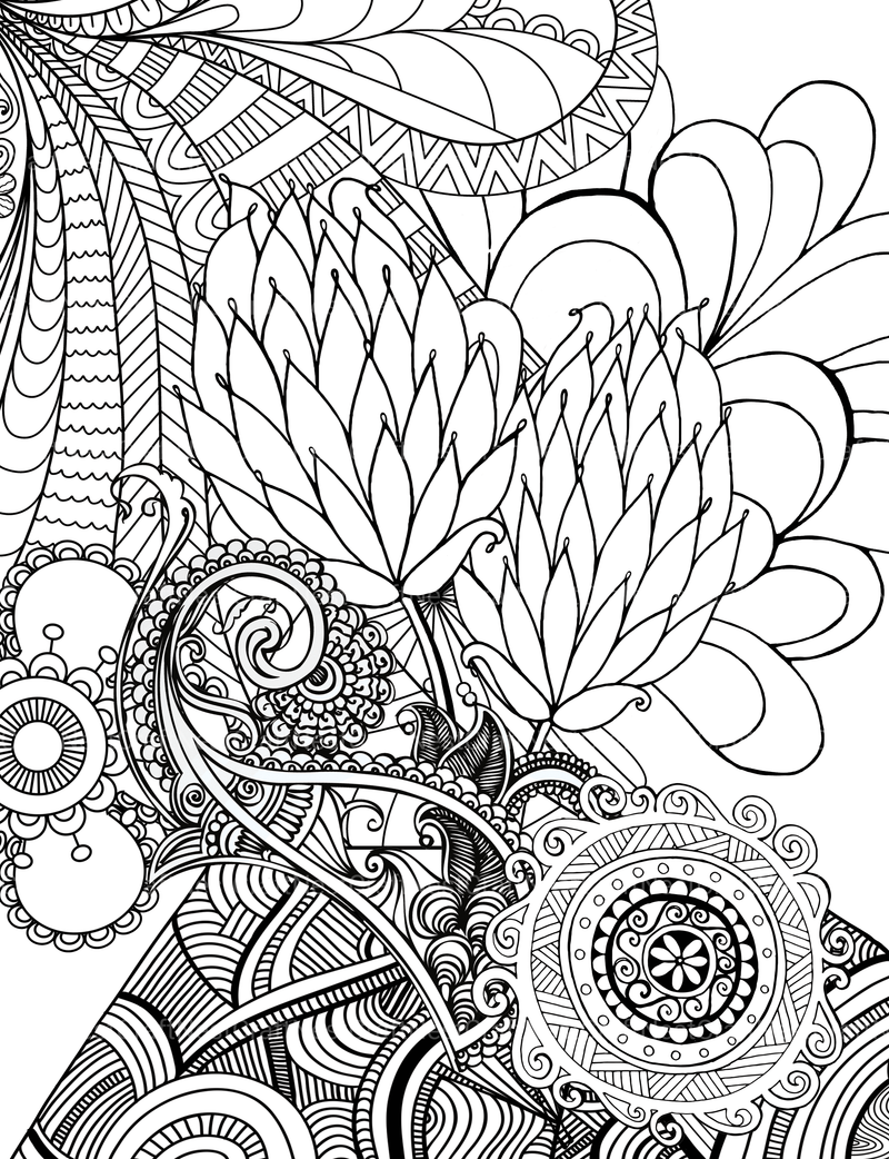Colorist Heaven Flower Coloring Book - CraftNest - Digital Crafting and Art