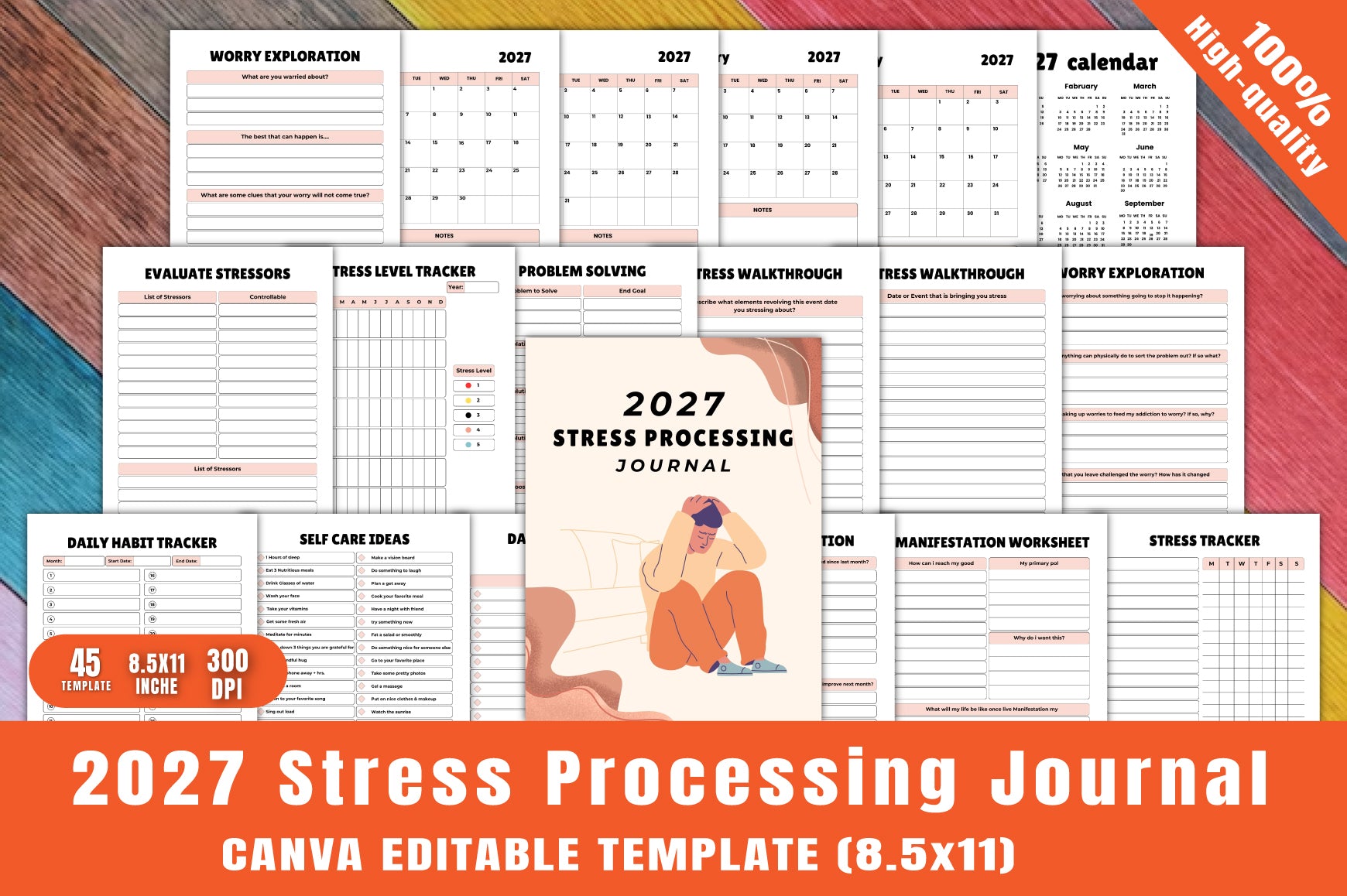 Stress Processing Journal