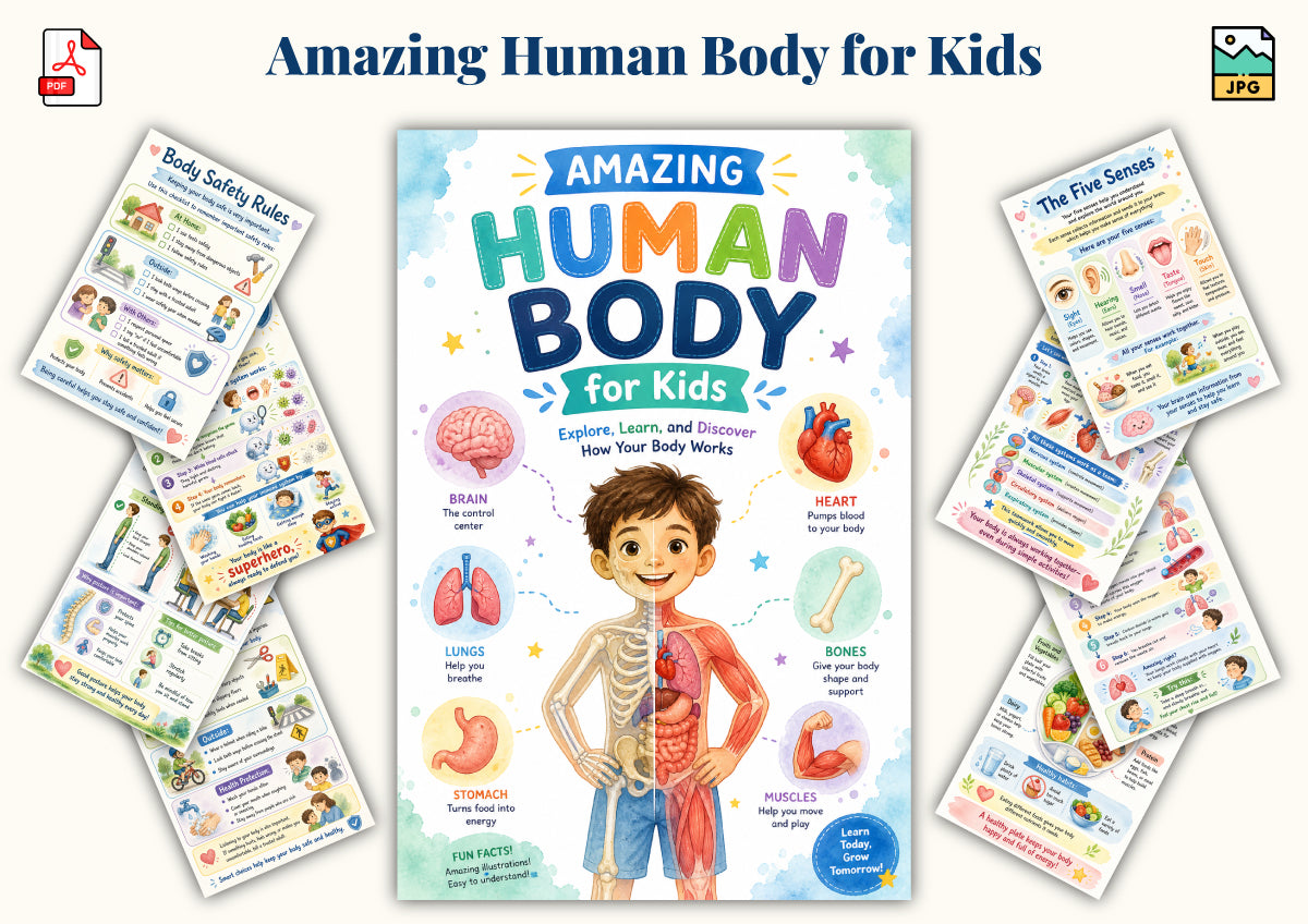 Amazing Human Body For Kids