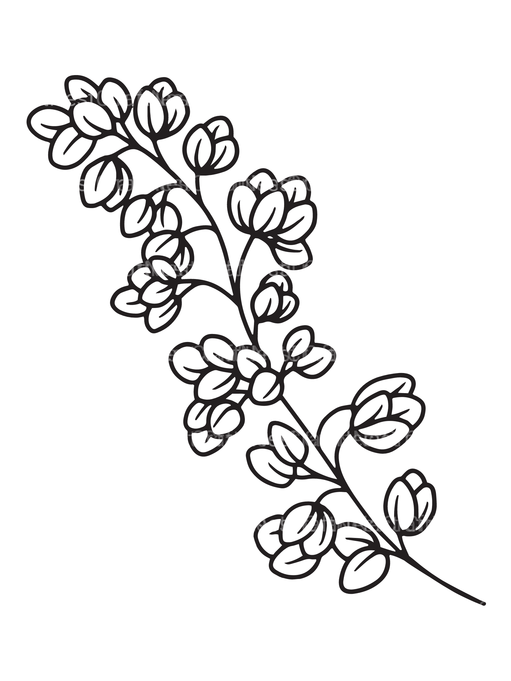 Floral Coloring Book - CraftNest - Digital Crafting and Art