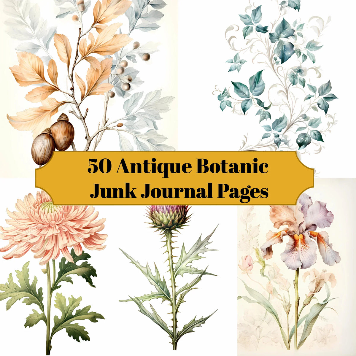 Botanic Sample Collection Journal Antique Botanic Junk Journal Pages
