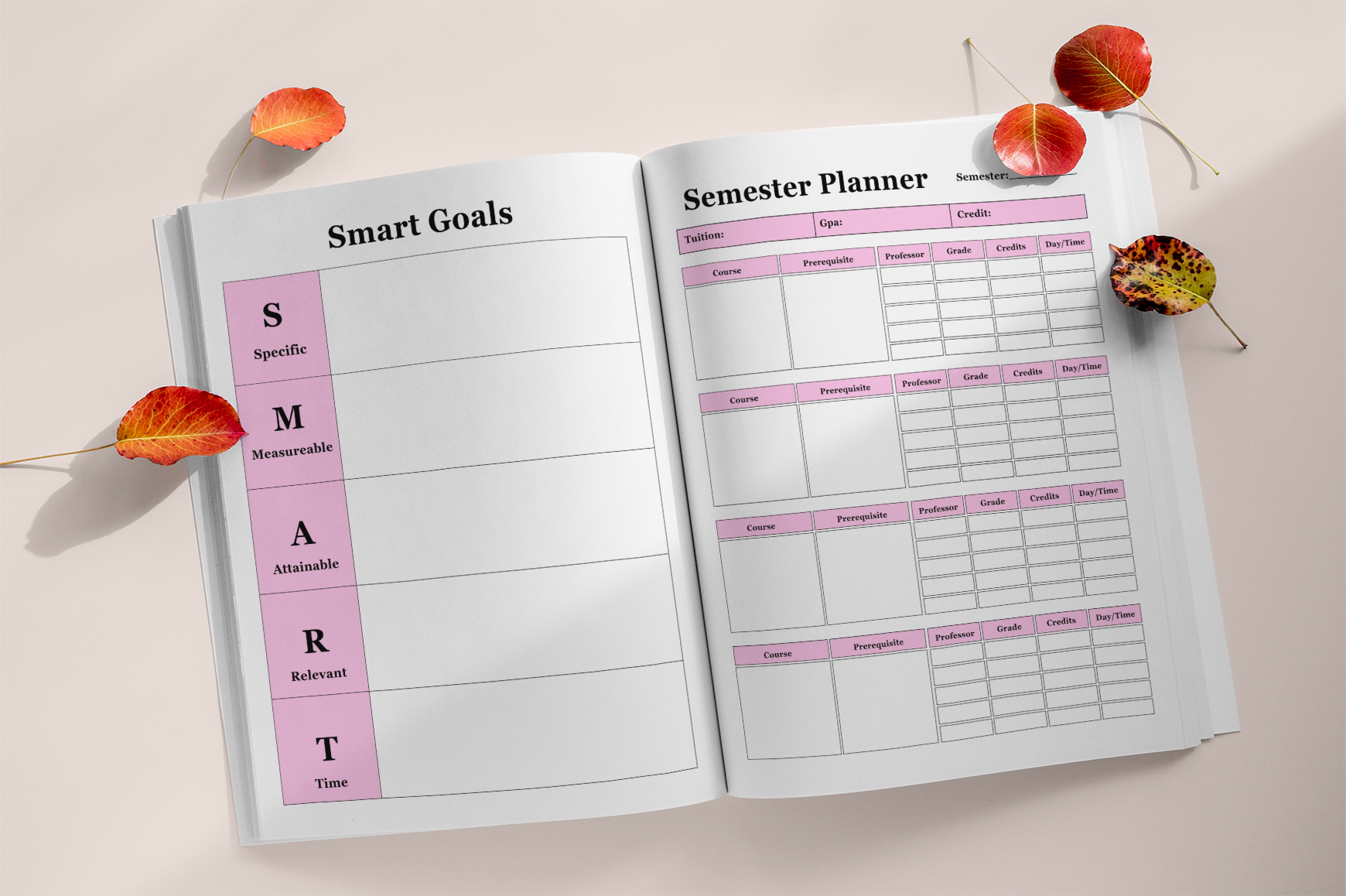 Educator Success Planning Book