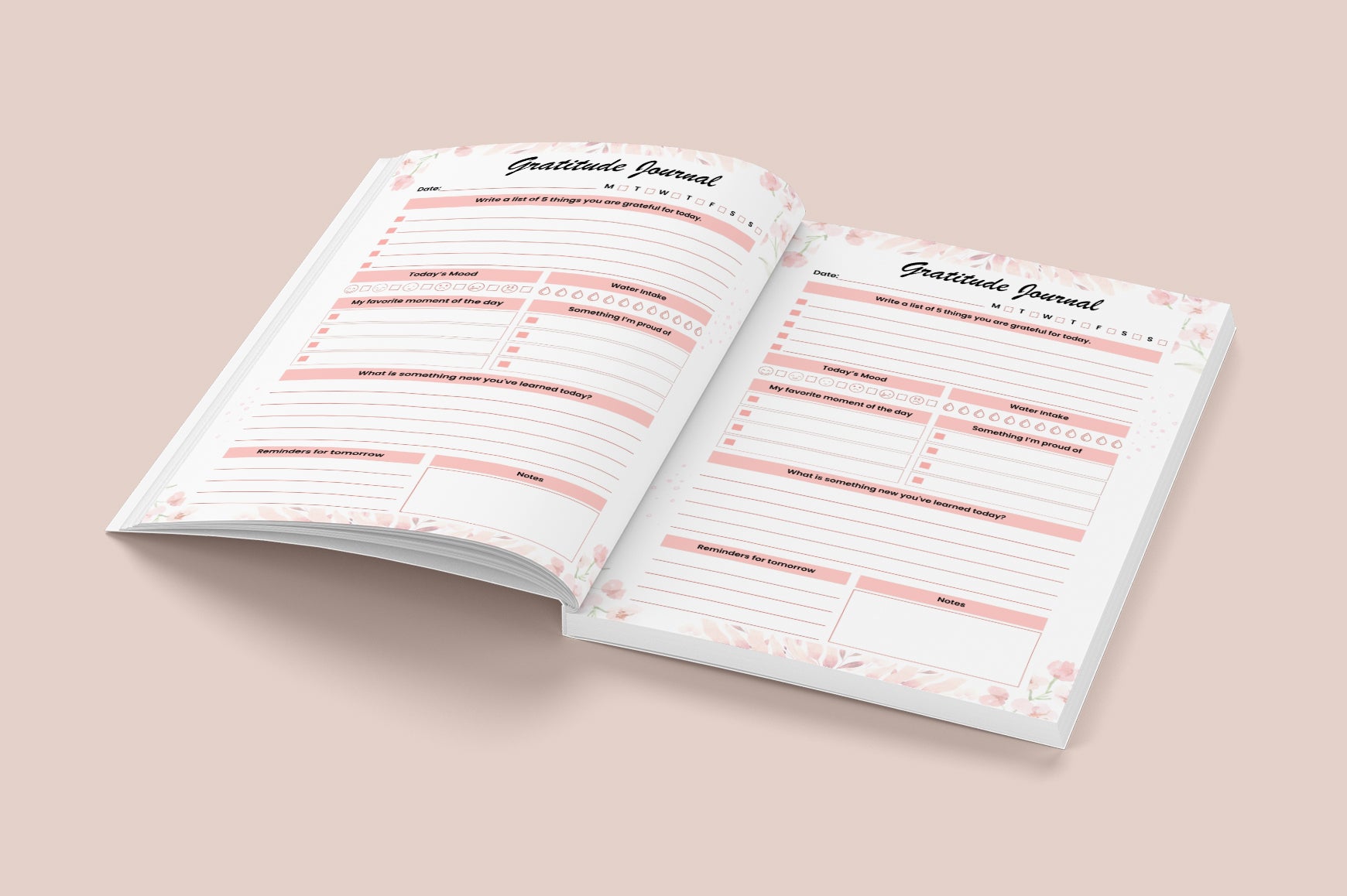 Year of Gratitude Journal
