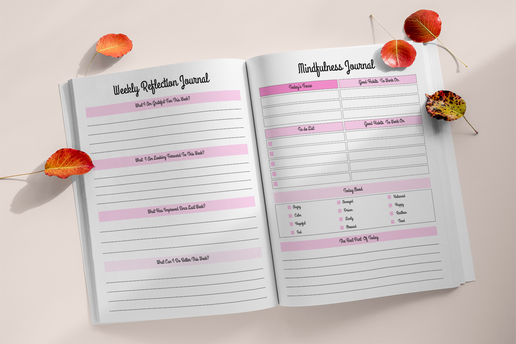 Self Worth Confidence  Workbook