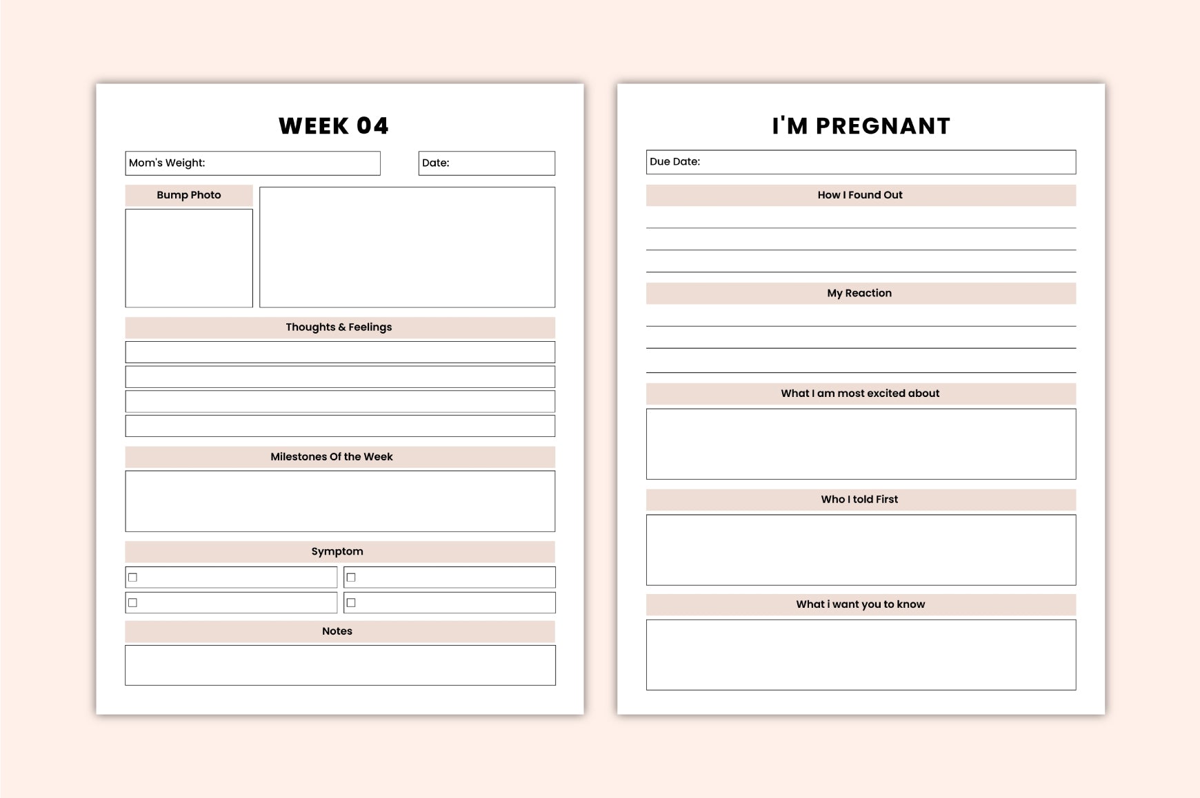 Motherhood Journey Journal