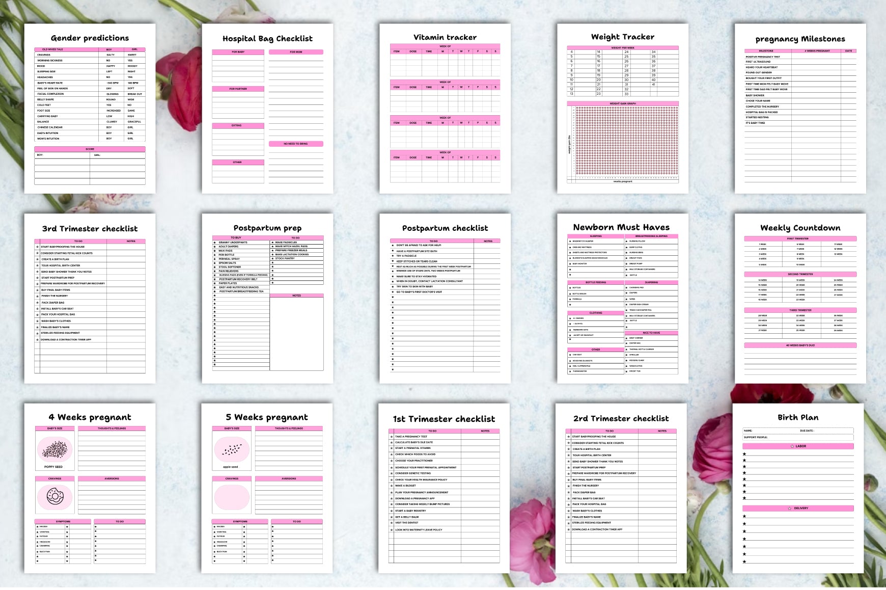 Pregnancy Journal
