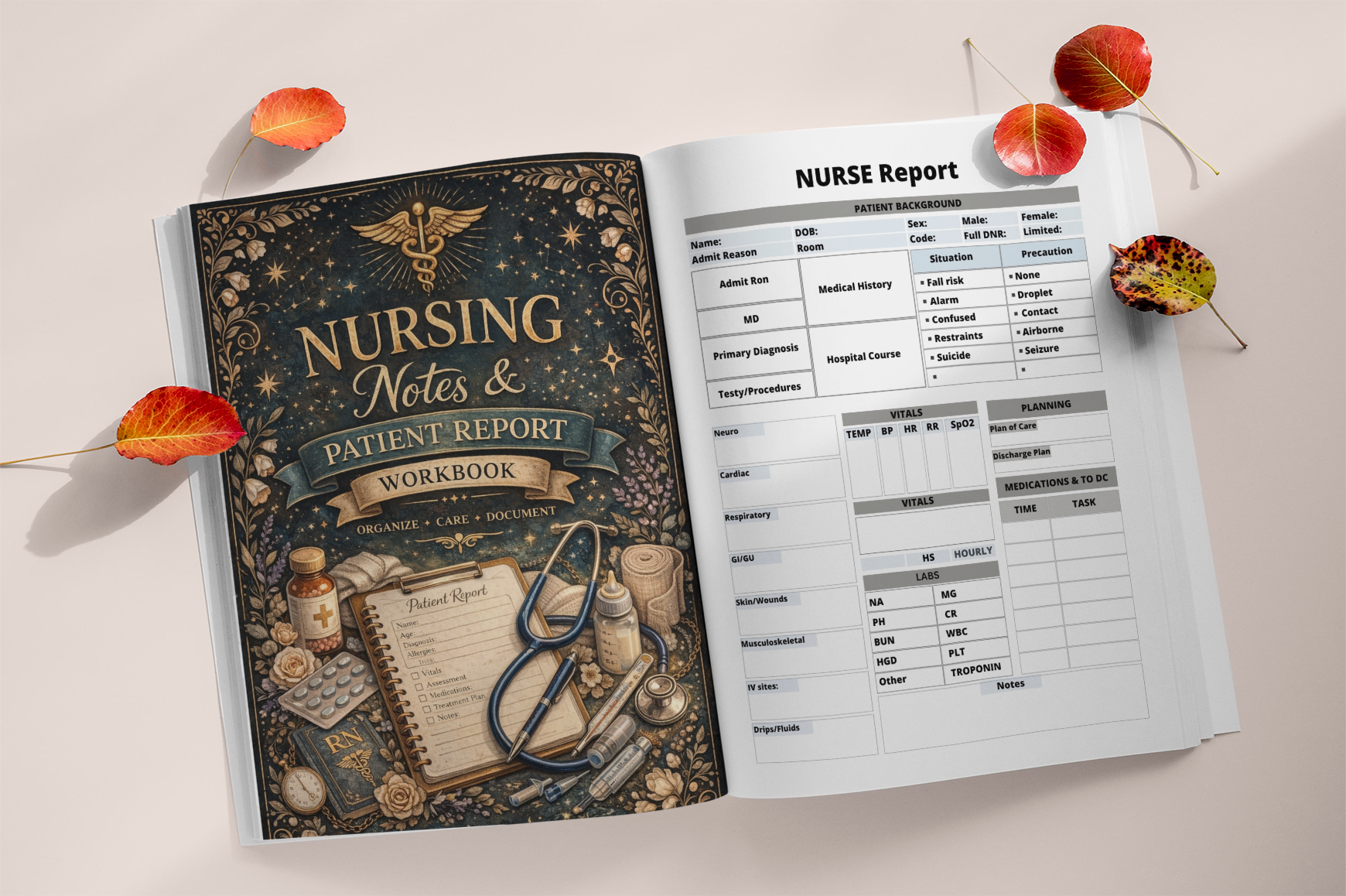 Nursing Notes Patient Report Workbook