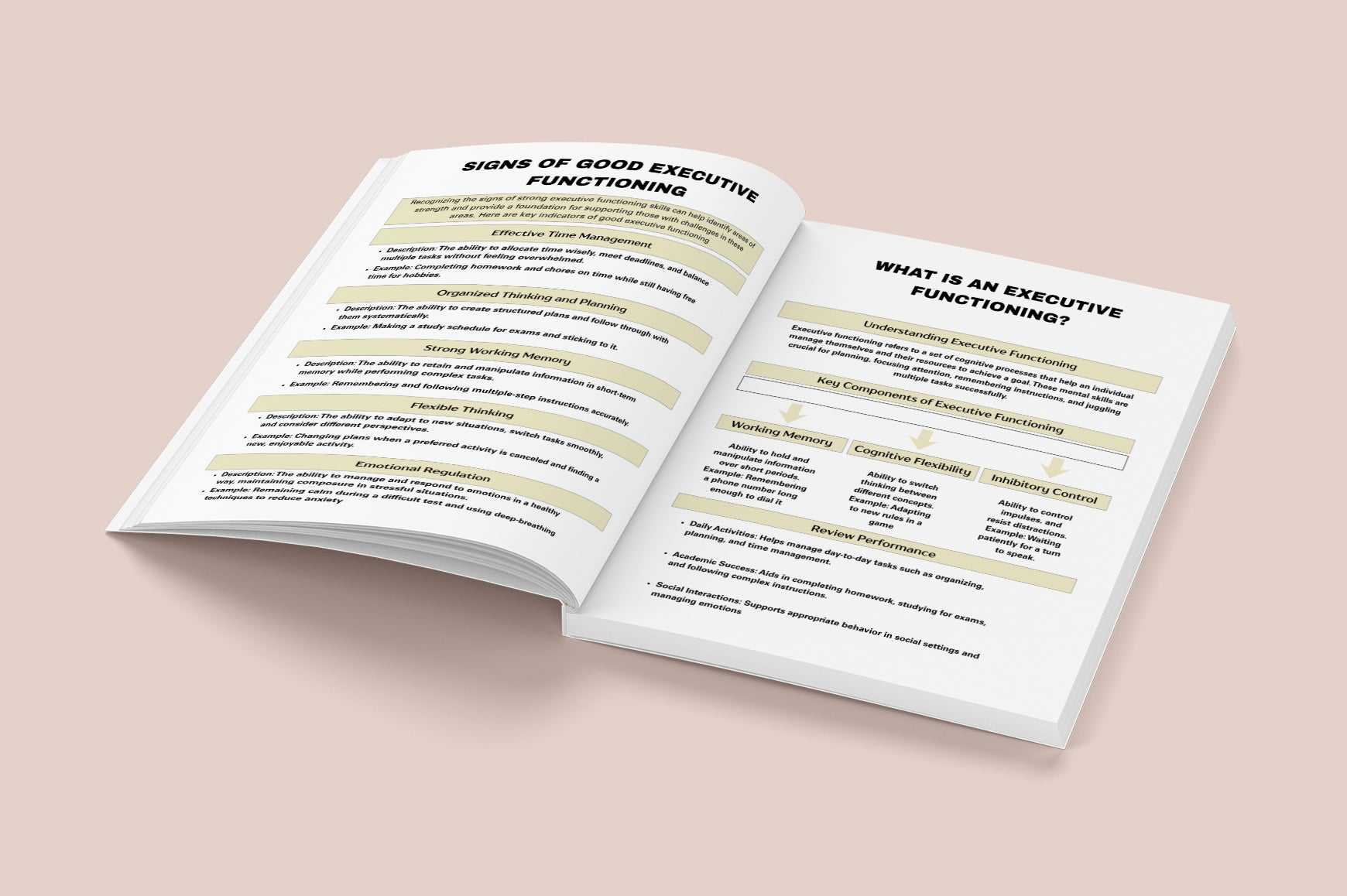 ADHD Focus & Organization Planner