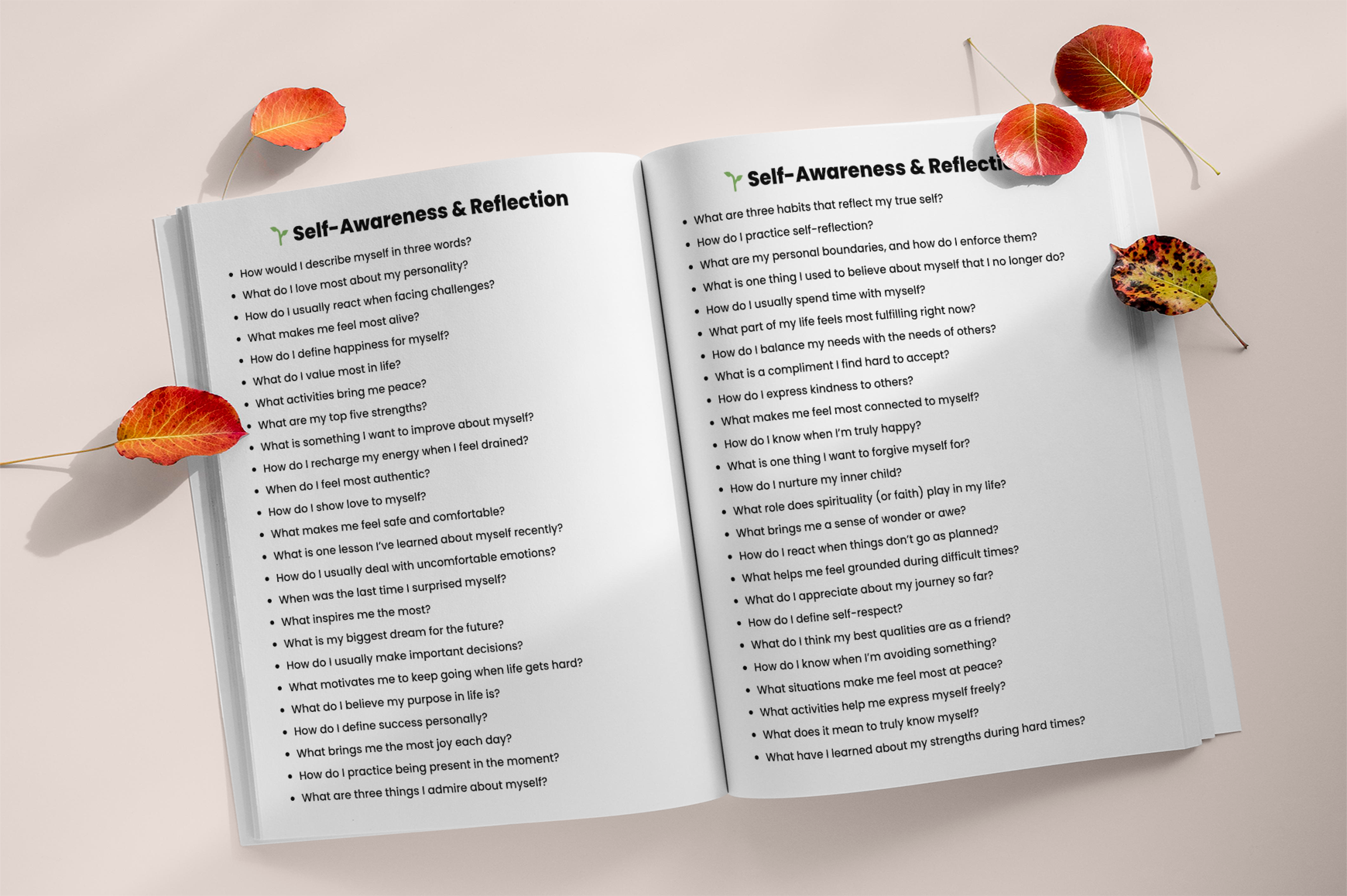 Emotional Health Reflection Prompts