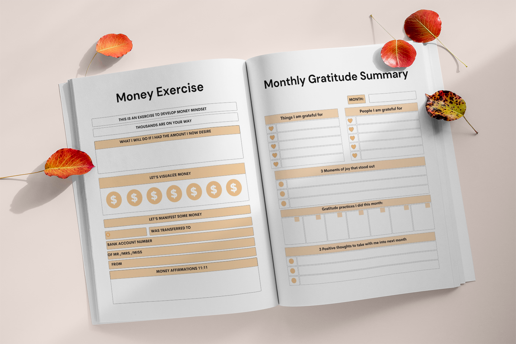 Daily Manifesting Success Journal