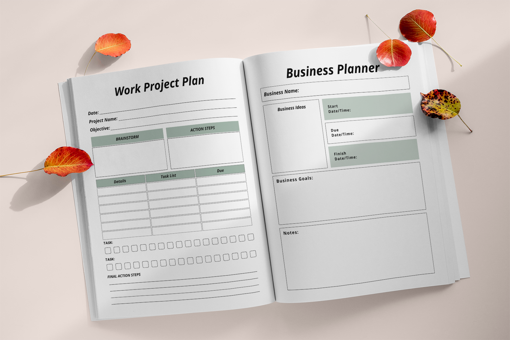 Financial Freedom Debt Payoff Planner