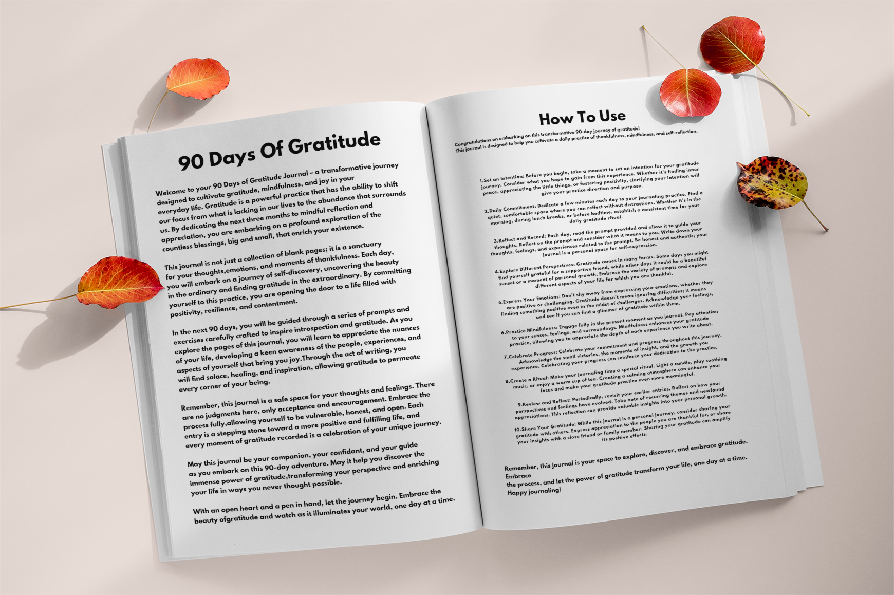 Days of Gratitude Writing Prompts