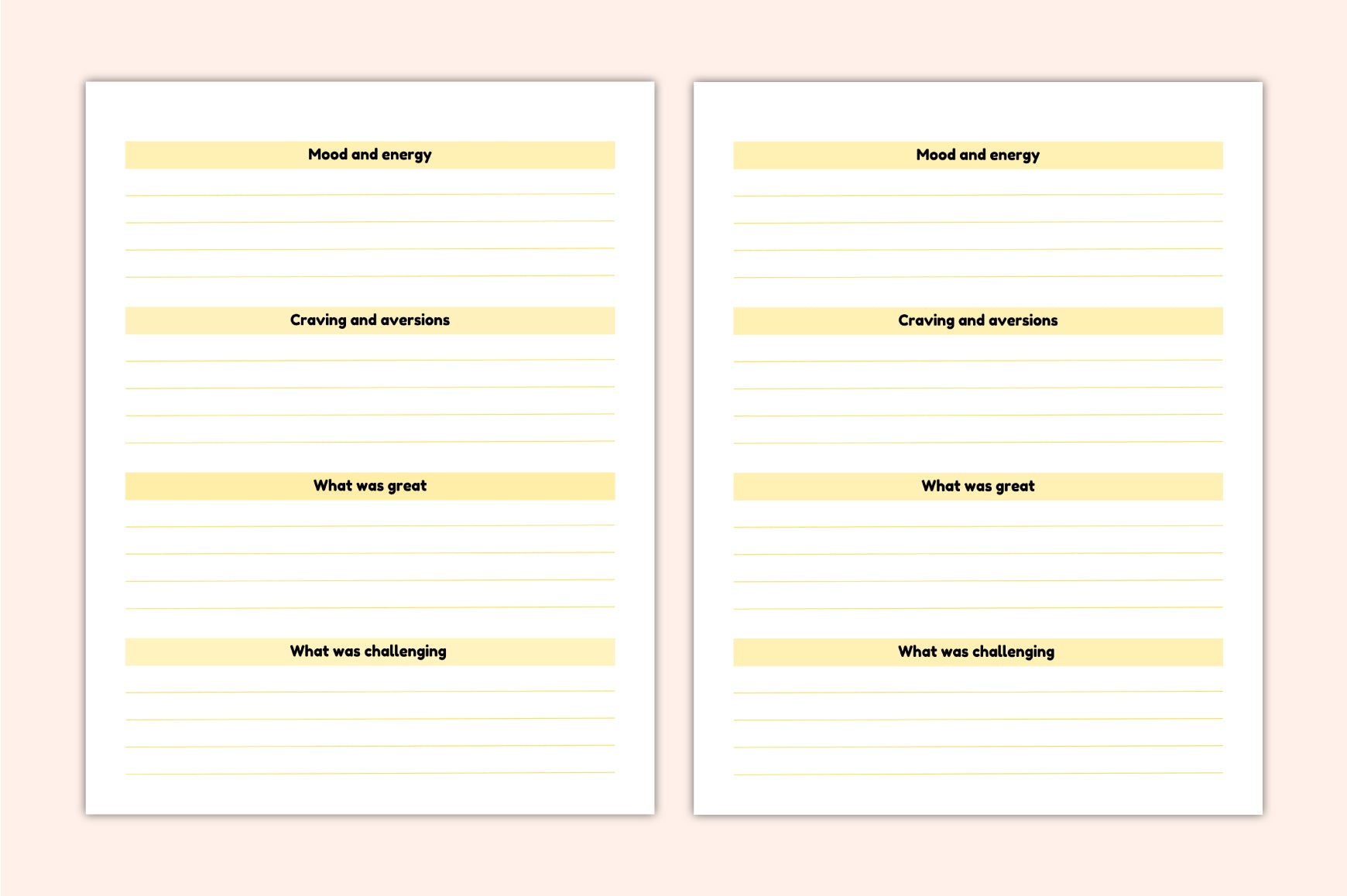 Precious Baby Memories Planner